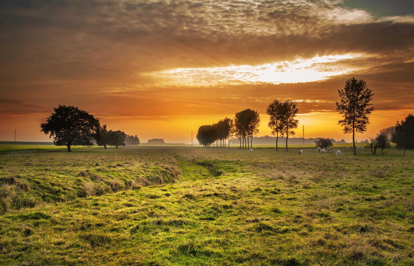 Еркежан Ахметованың суреті