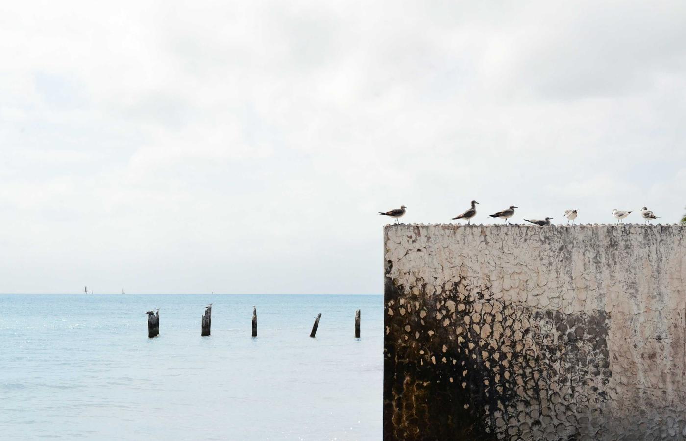 Серверді басқару